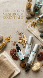 Functional mushroom products including bottles and a dropper on a textured surface with dried mushrooms and stones.